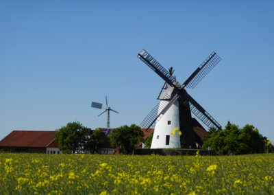 Mühle im Feld